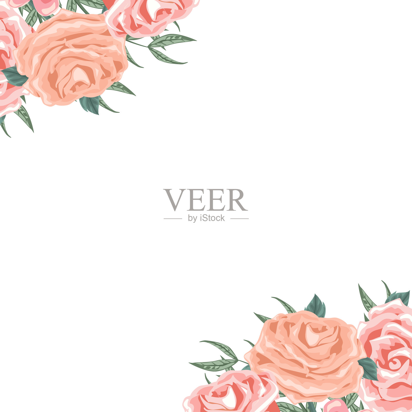 美丽的花卉插花卡在角落插画图片素材