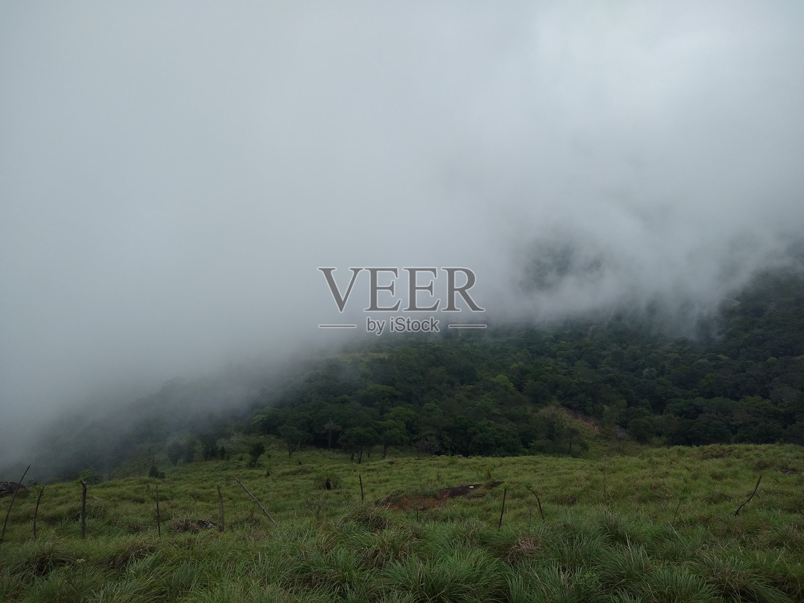 蓬木地山站，美丽的雾山在Thiruvananthapuram，喀拉拉邦，景观视图照片摄影图片