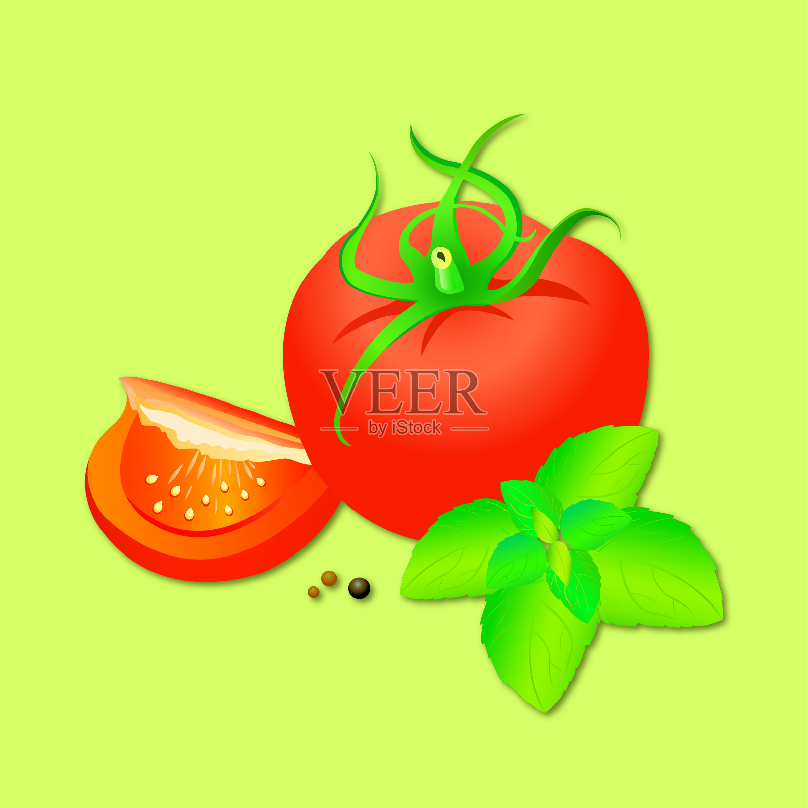 成熟的番茄和罗勒插画图片素材