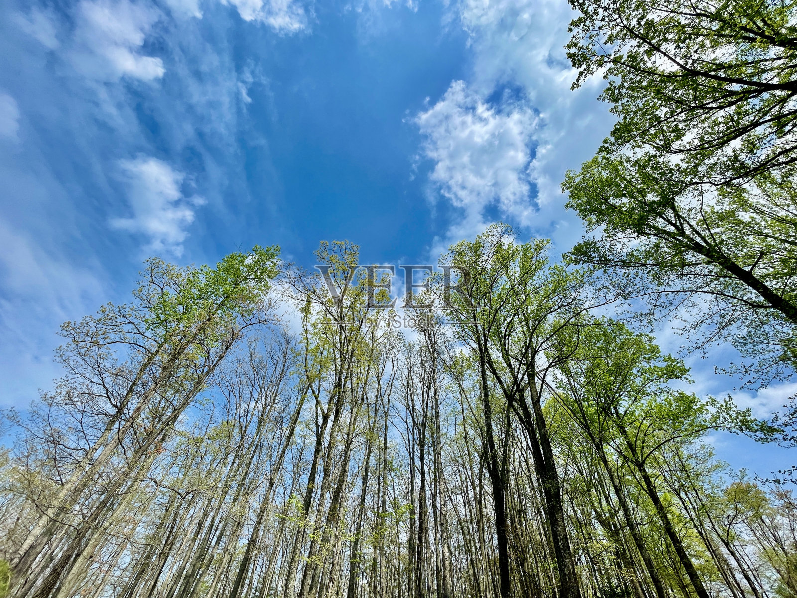 特拉华水峡国家游乐区-特拉华照片摄影图片