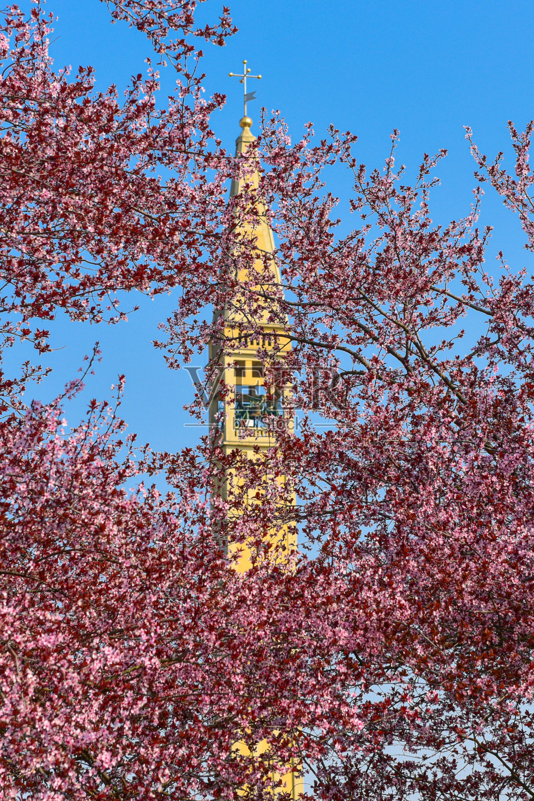 卡地亚里亚诺钟楼照片摄影图片