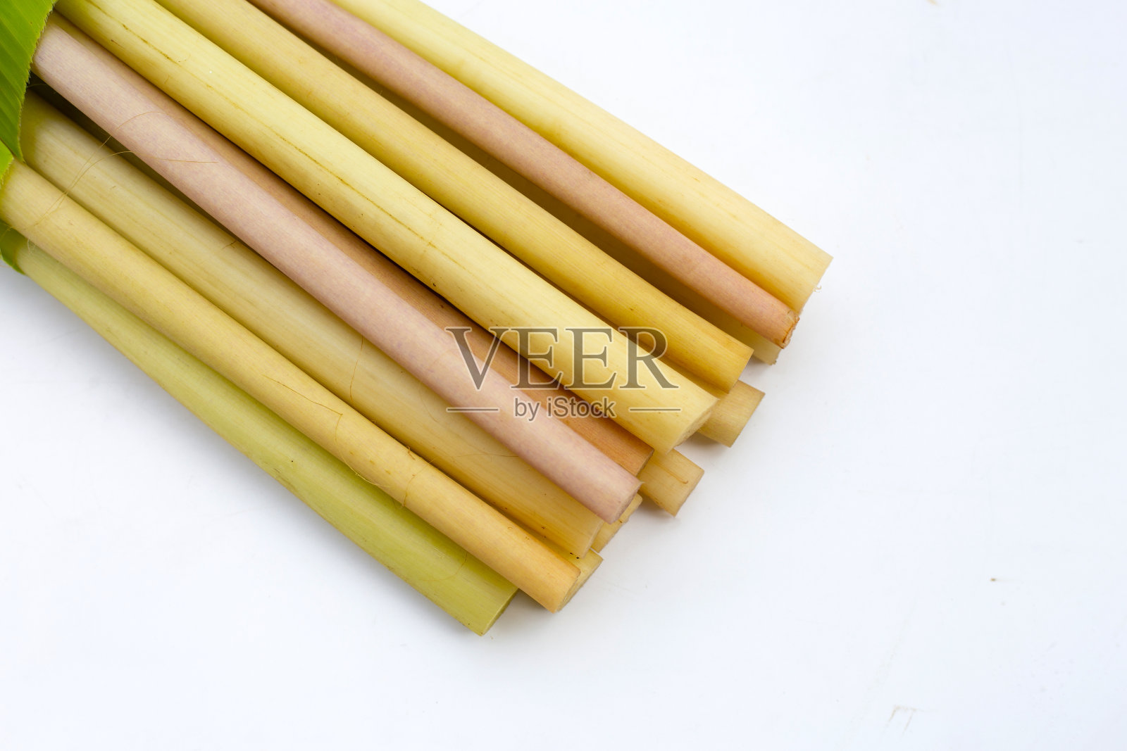 莲花茎在白色的背景。照片摄影图片