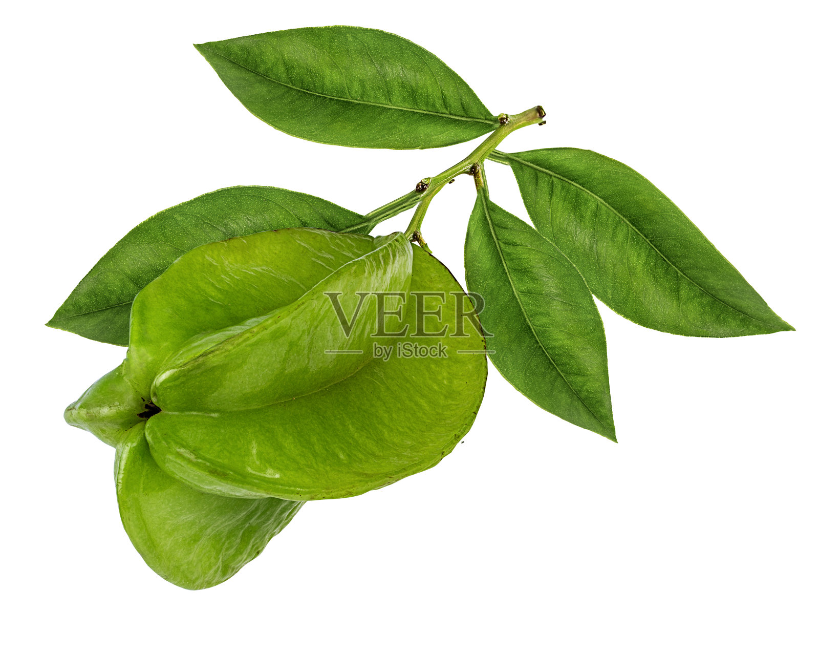 孤立在白色上的杨桃照片摄影图片