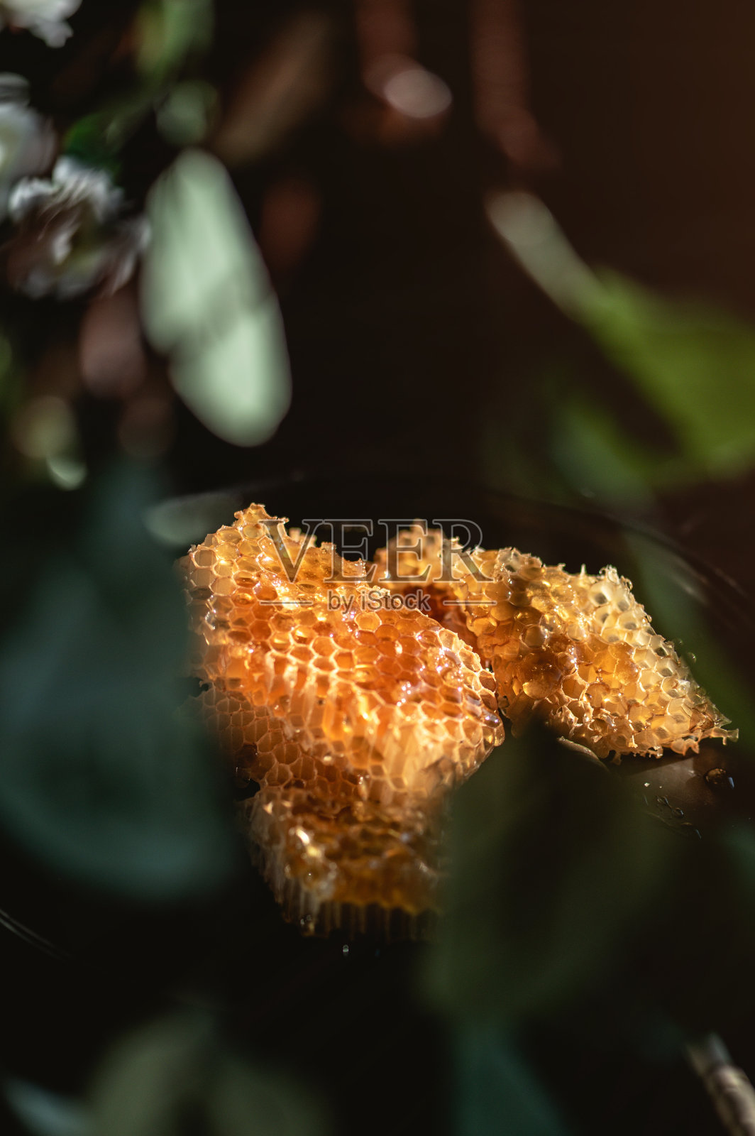 新鲜的蜂蜜蜂巢照片摄影图片