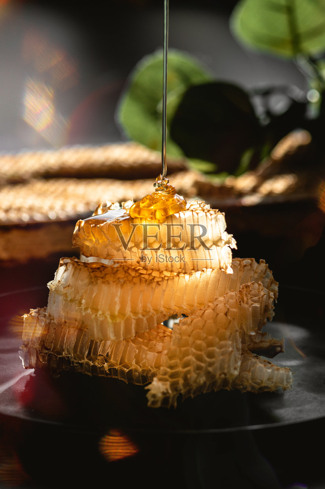 新鲜的蜂蜜蜂巢照片摄影图片