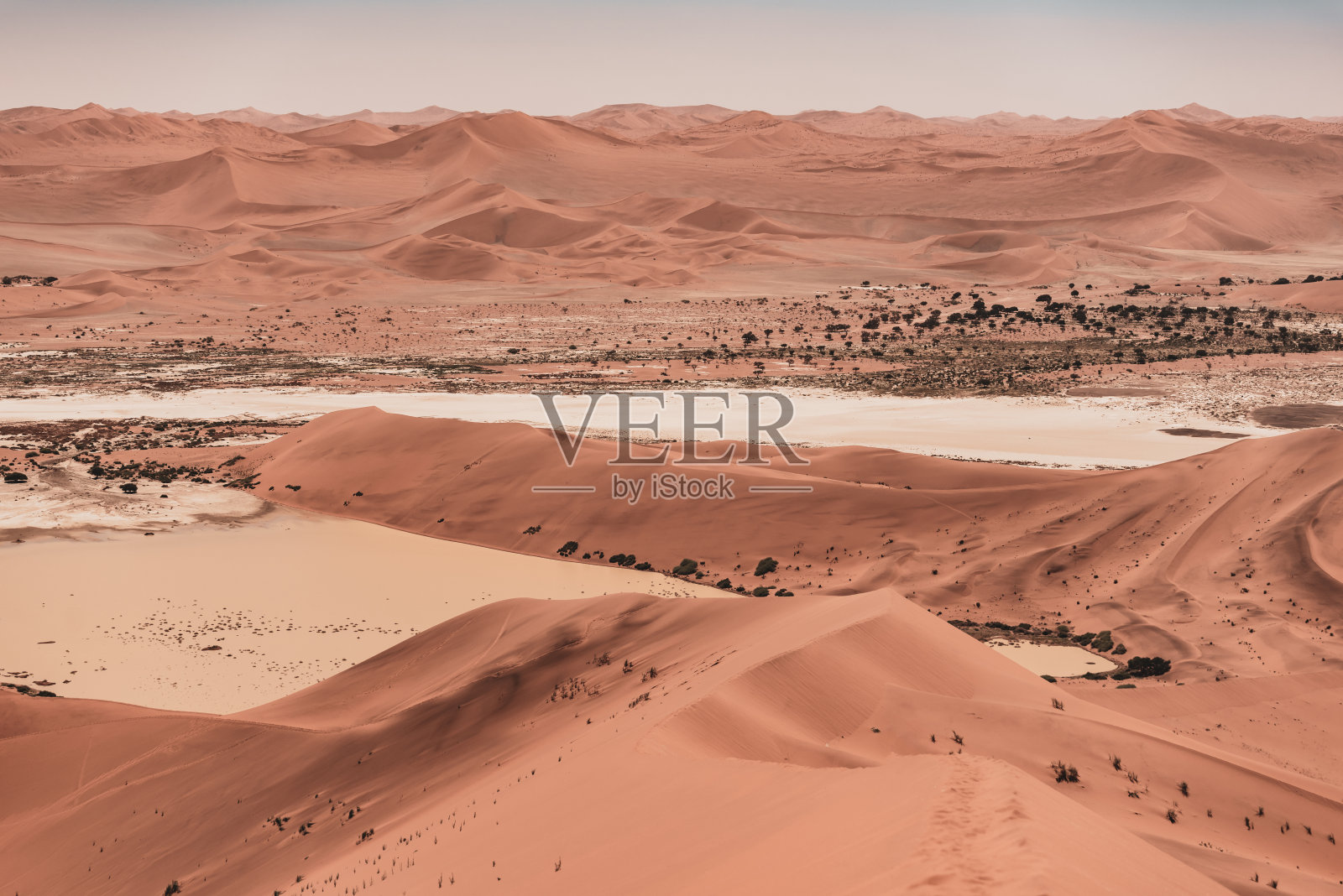 纳米布-诺克卢夫特公园，索苏斯维利沙漠中的雨后绿洲照片摄影图片