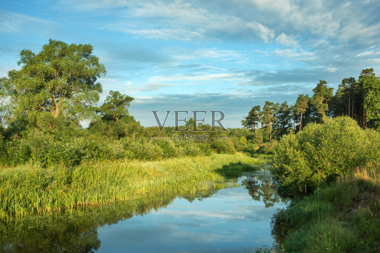 白俄罗斯别列济纳河附近的夏季景观照片摄影图片
