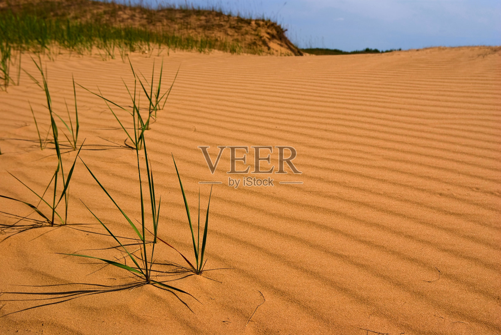 沙漠中的沙丘照片摄影图片