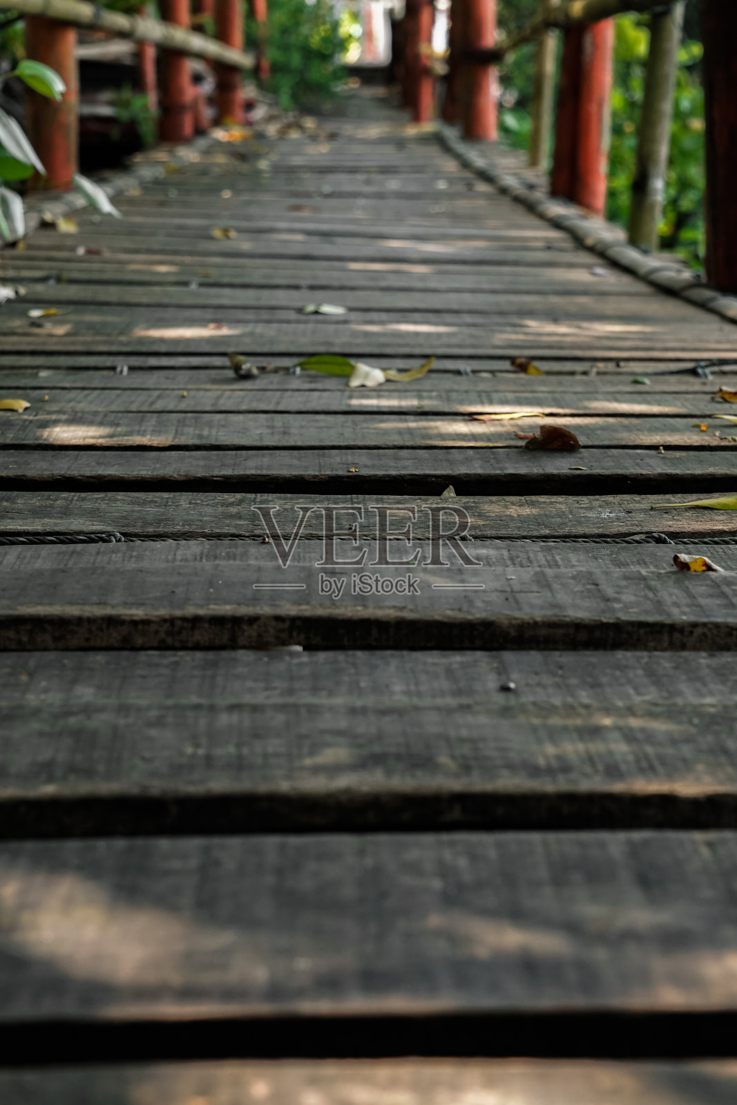 红树林之间的桥梁照片摄影图片