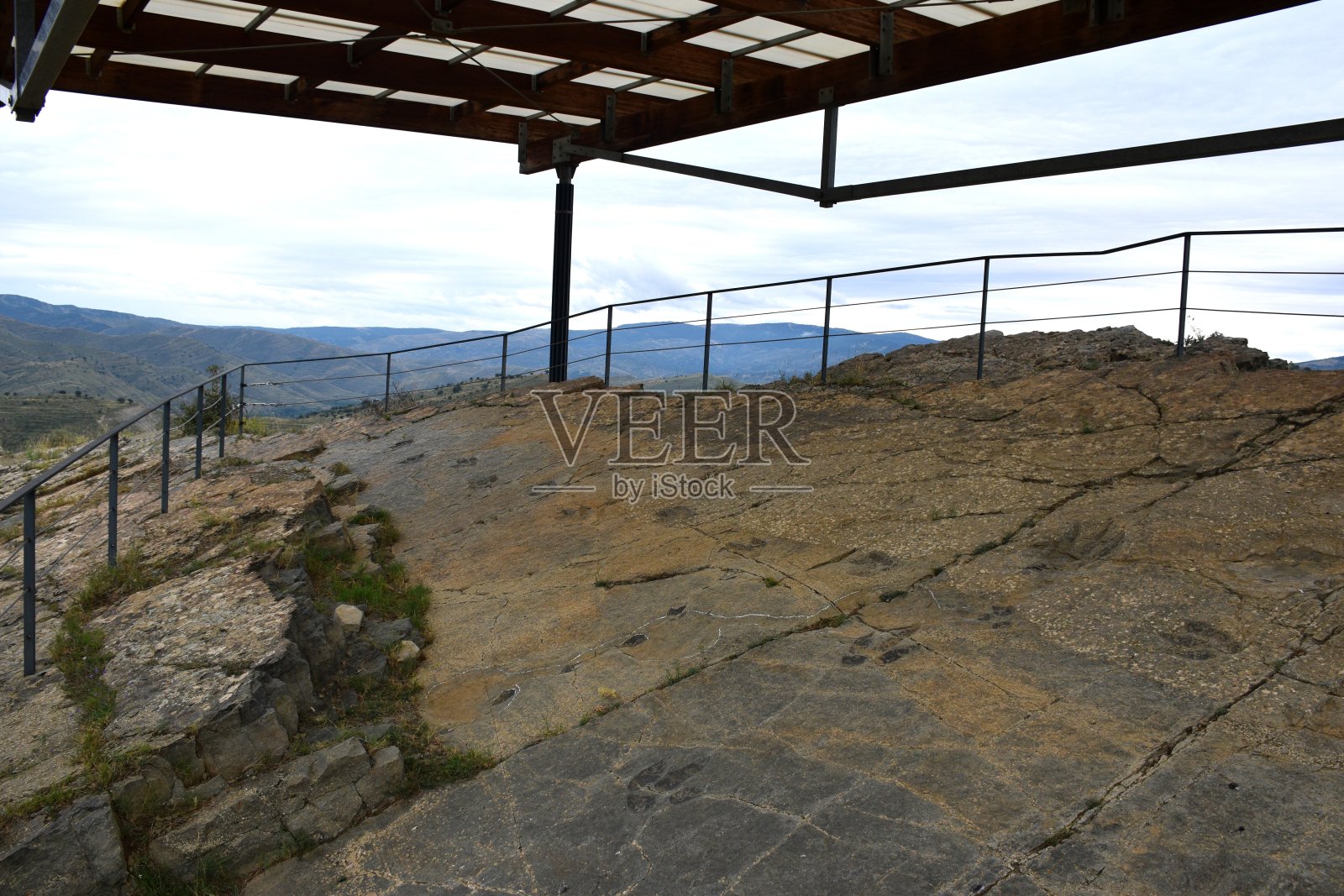 有兽脚亚目食肉动物的痕迹，其中一个跛足，拖着尾巴。照片摄影图片