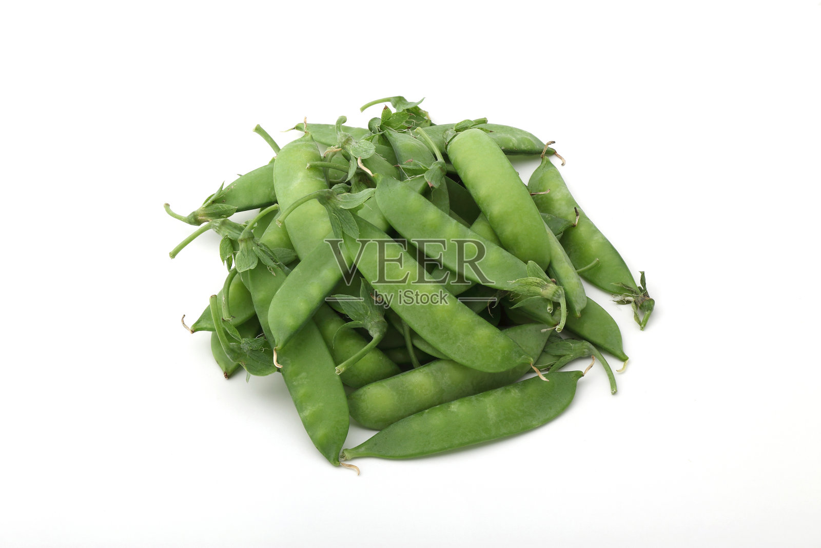 新鲜收获的甜豆照片摄影图片