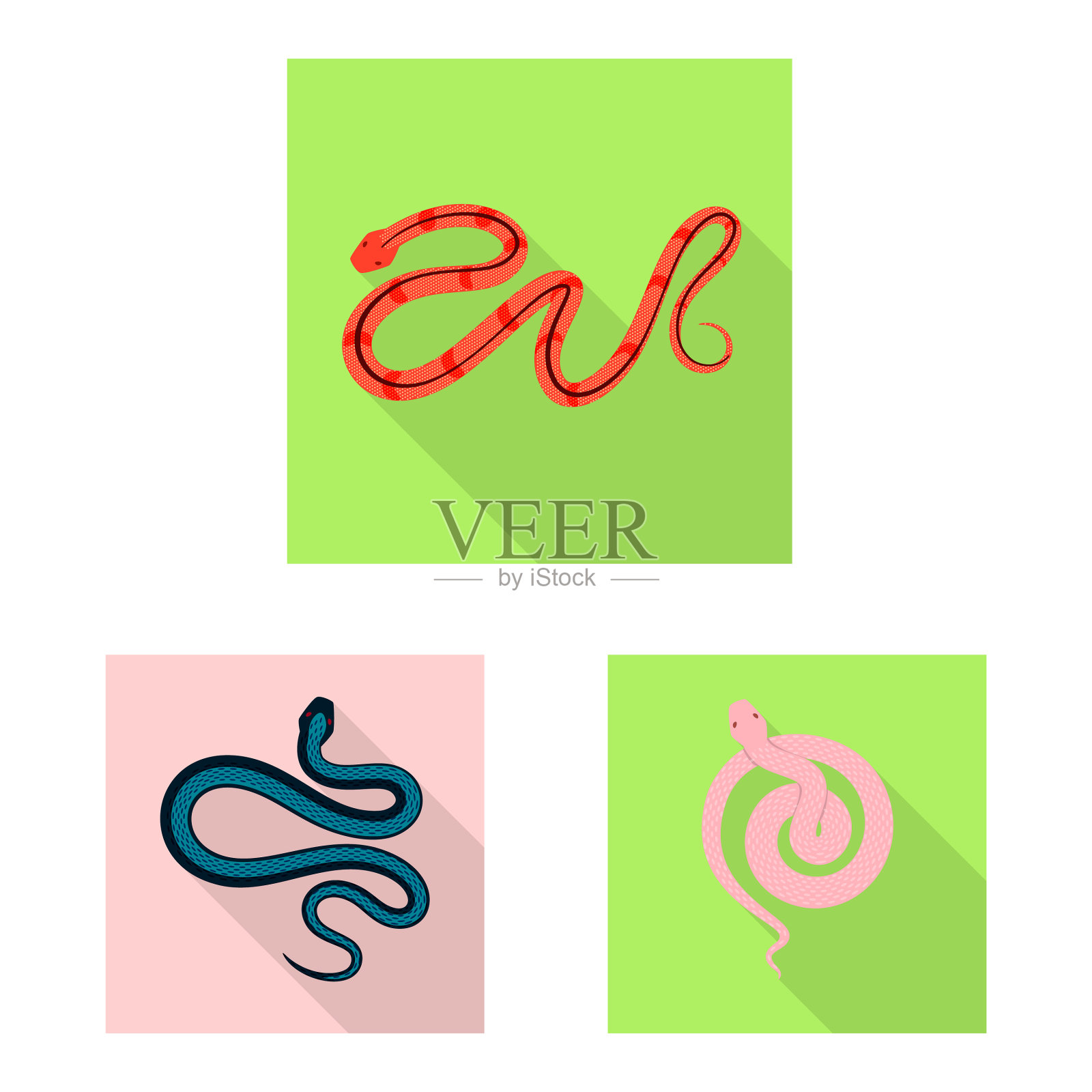 设计皮肤和爬行动物标志收集插画图片素材