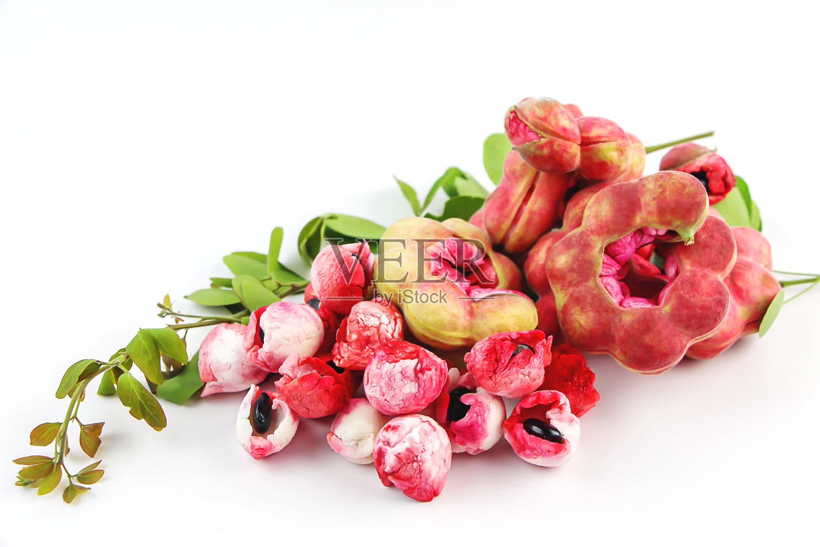 马尼拉罗望子的果实，在白色背景上分离照片摄影图片
