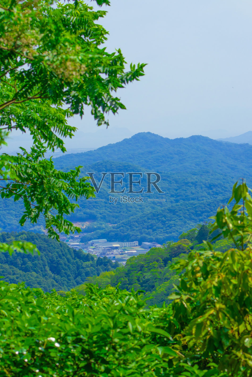 夏天的天空照片摄影图片