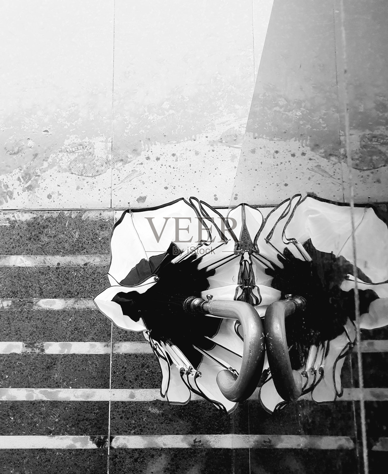 伞照片摄影图片