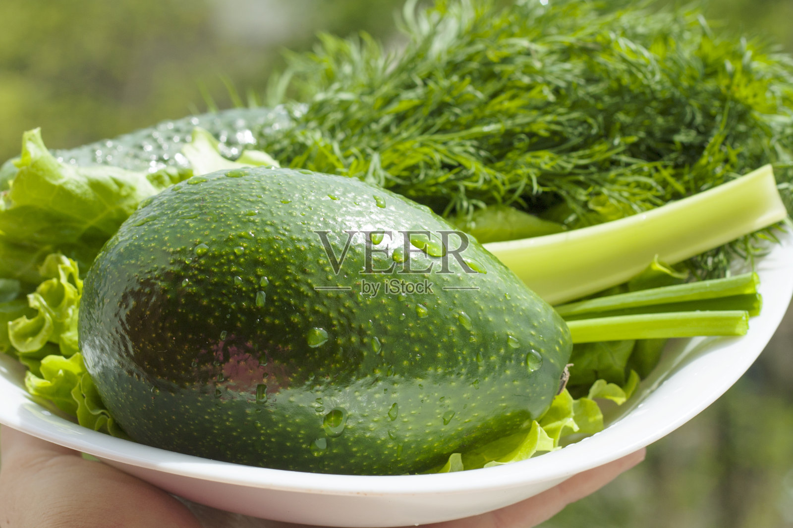 绿色的鳄梨照片摄影图片