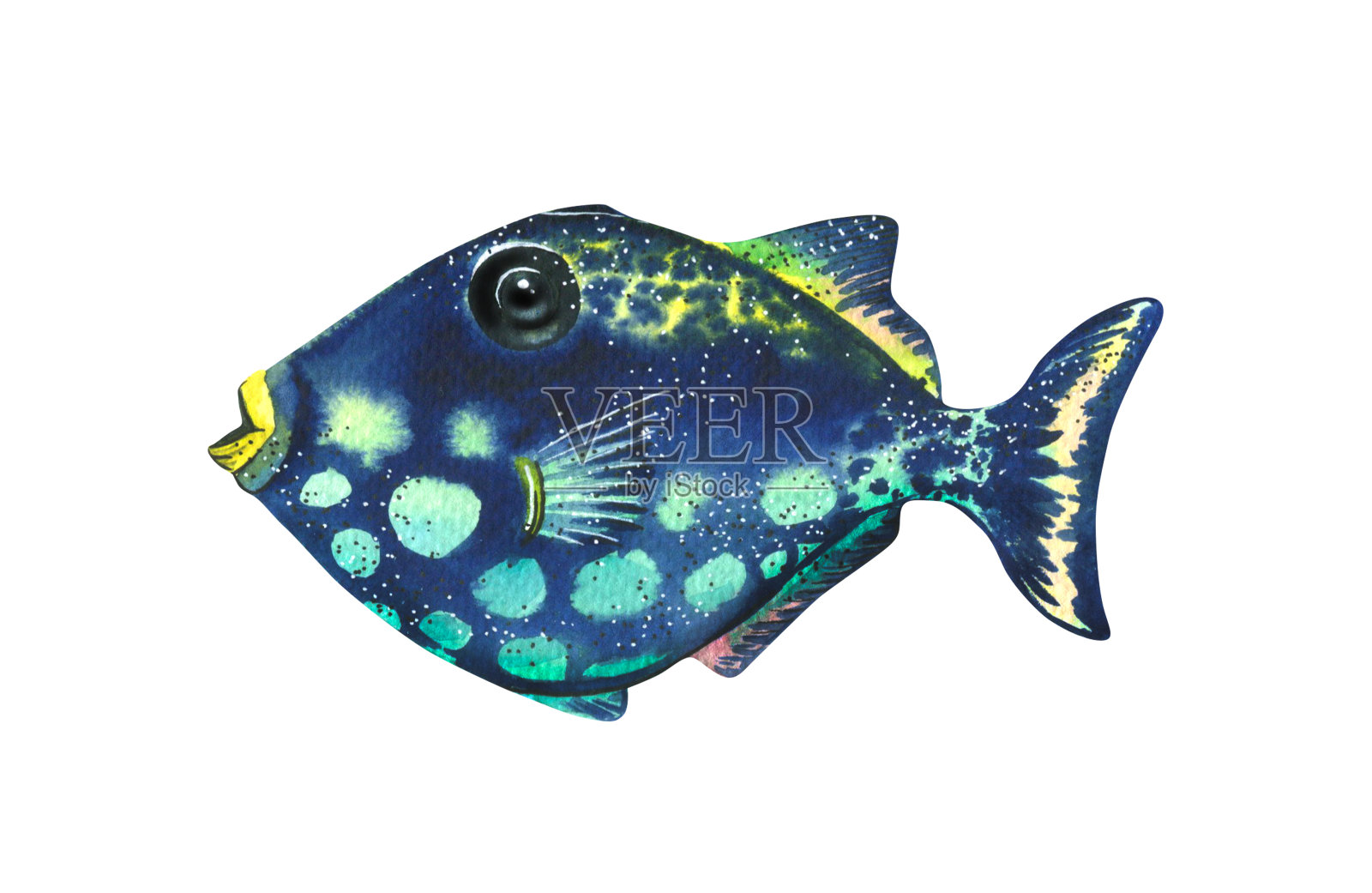 水彩插图的热带海洋鱼孤立。明亮的，珊瑚色的，水族箱色的，蓝色的。用于设计、装饰、海报。明信片、照片、插图。插画图片素材