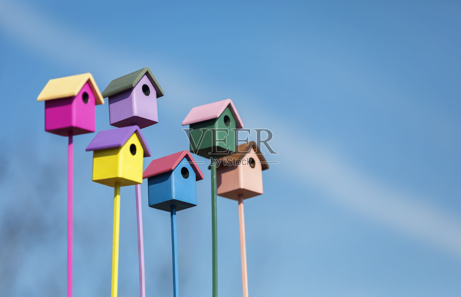 春园蔚蓝的天空映衬着一组组五颜六色的木鸟笼，吸引着鸟儿照片摄影图片