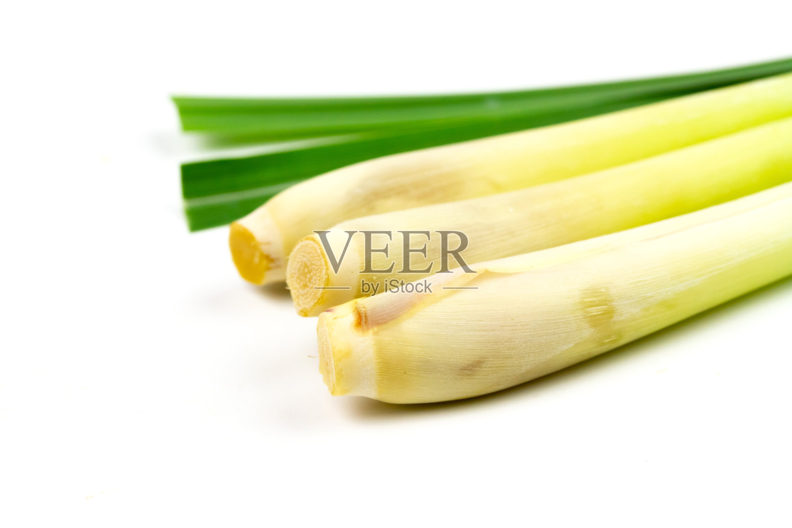 新鲜的柠檬草孤立在白色背景。照片摄影图片