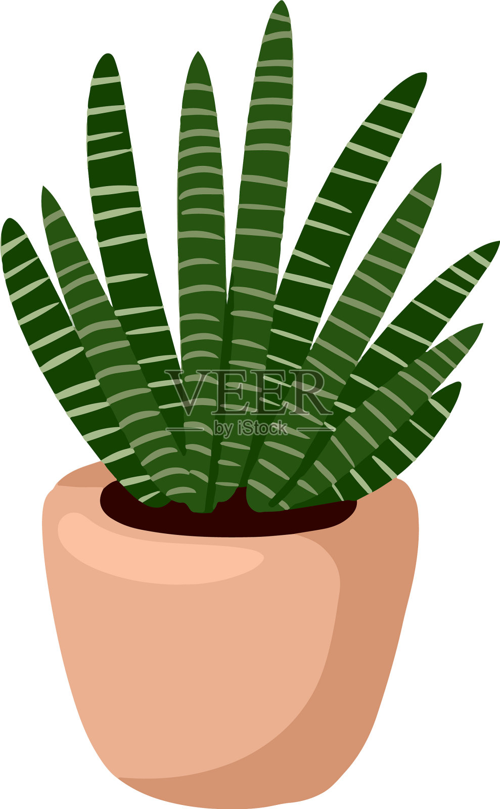 Hygge盆栽肉质植物舒适的lagom设计元素图片