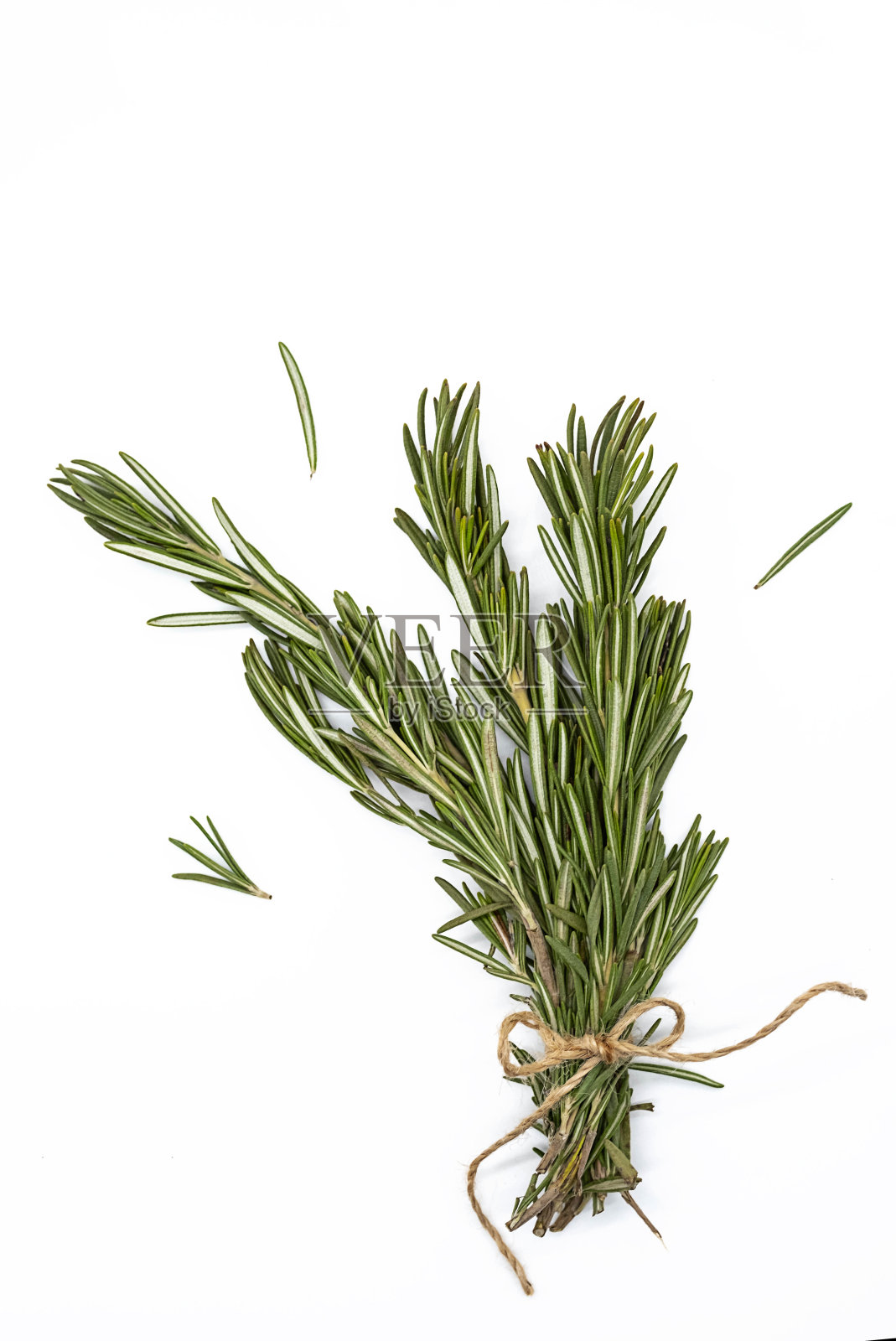 白色背景上放一束迷迭香。迷迭香束，收好。照片摄影图片