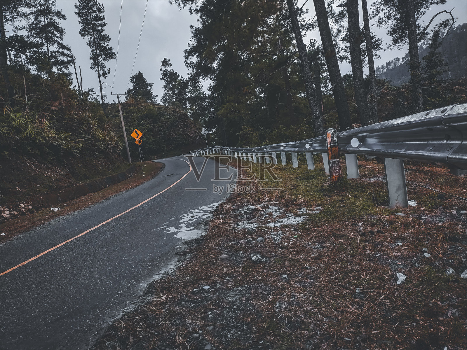 松树和小山环绕着一条蜿蜒的道路照片摄影图片