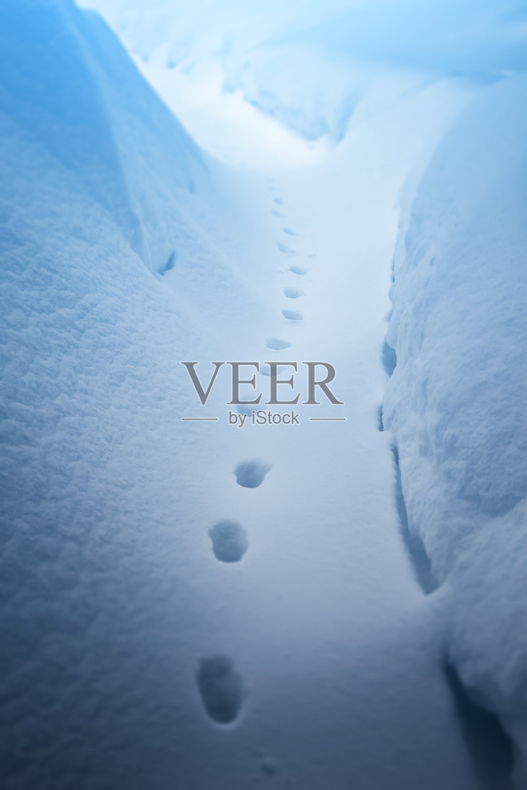 雪地上的脚印照片摄影图片