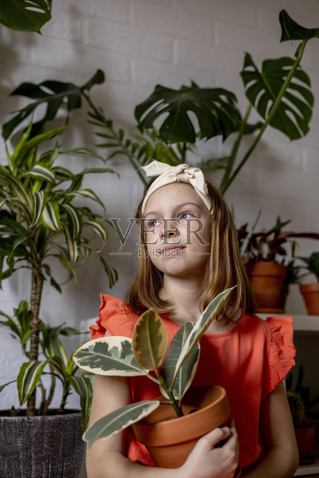 十几岁的女孩穿着珊瑚裙坐在房间里，手里拿着榕树。照片摄影图片