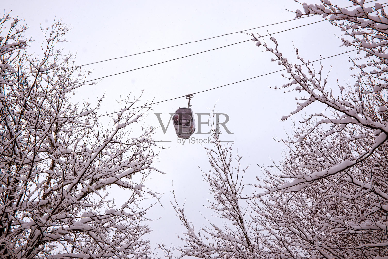 冬季森林中的索道小屋照片摄影图片