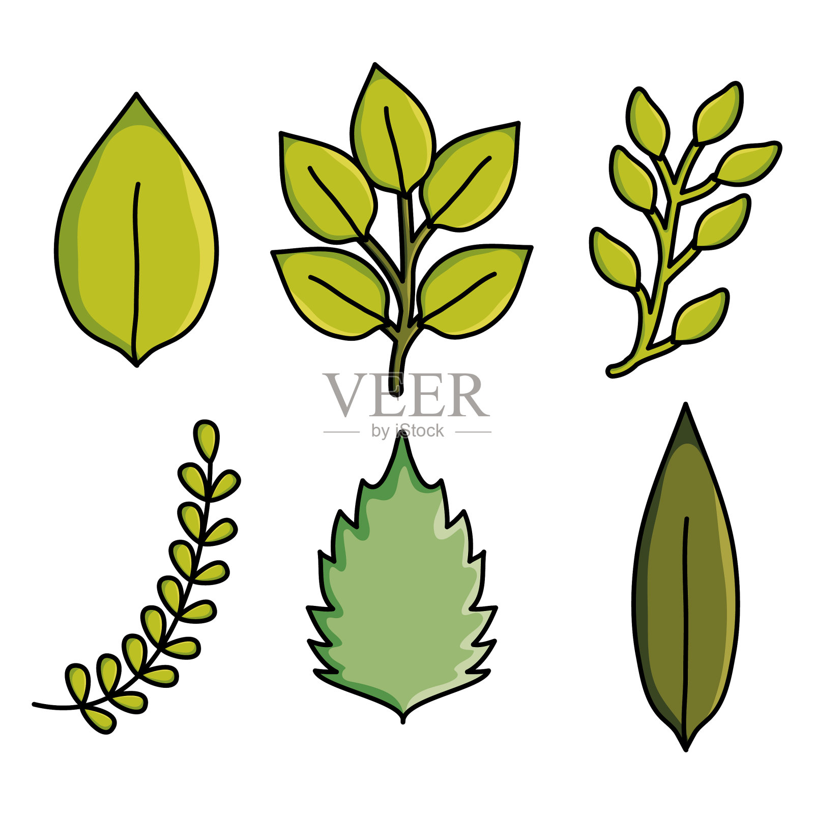 绿叶植物园林自然格局插画图片素材