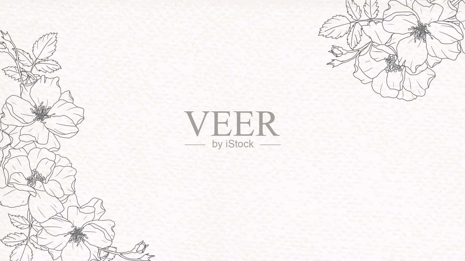 涂鸦线艺术玫瑰花束在纸的背景插画图片素材