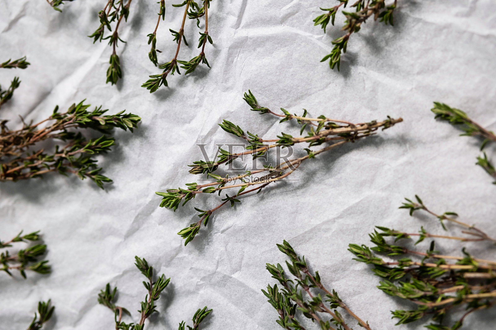 百里香小枝，闭合。胸腺的小枝。照片摄影图片