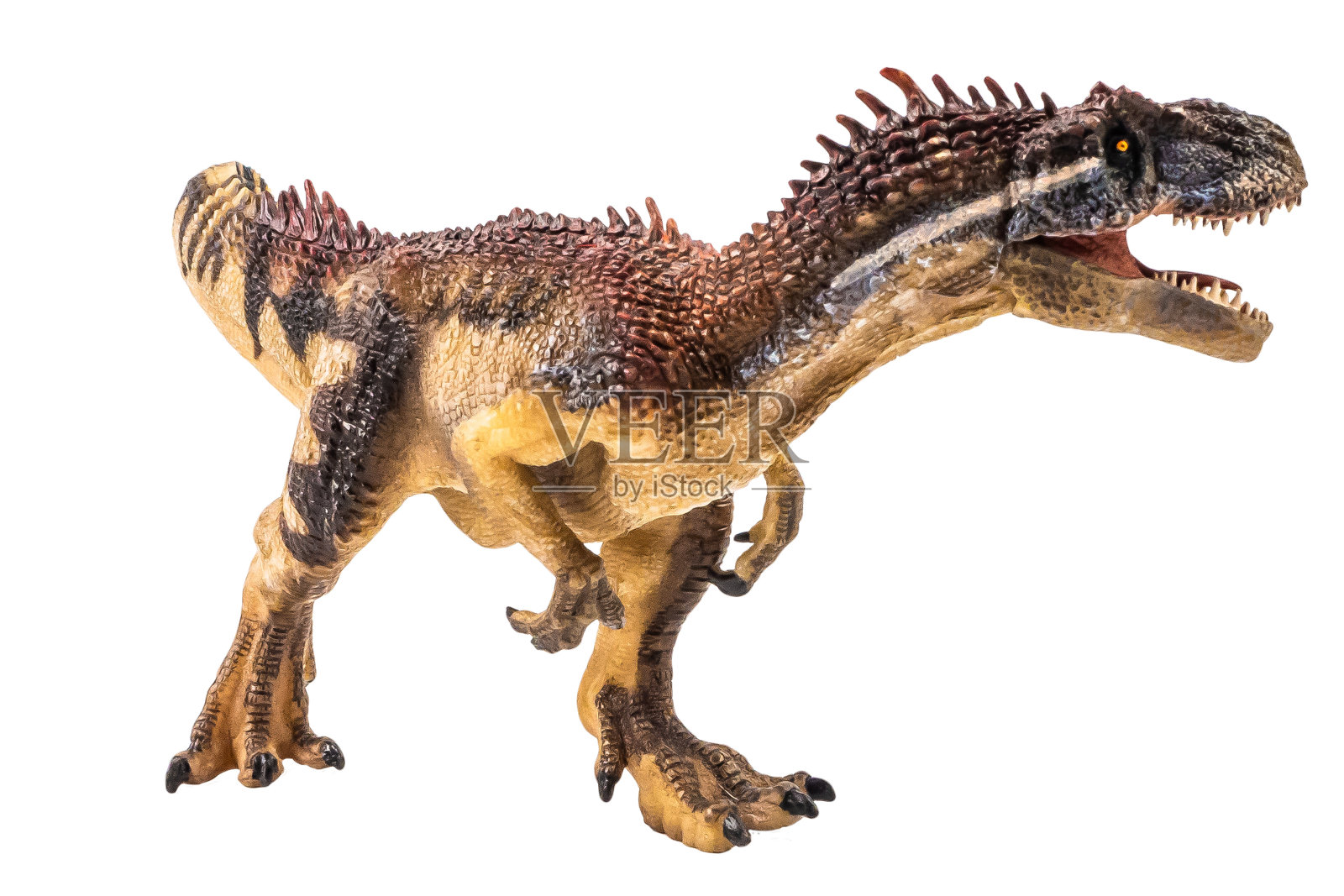 异特龙恐龙怪物恐龙孤立的剪影路径照片摄影图片