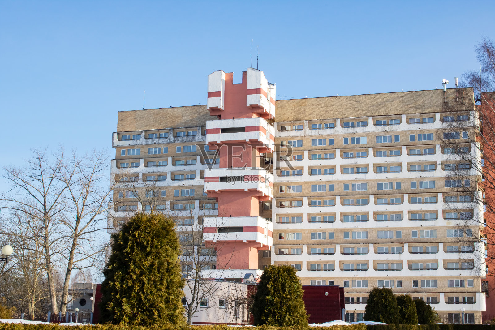 高层住宅楼的窗户和附近的树照片摄影图片