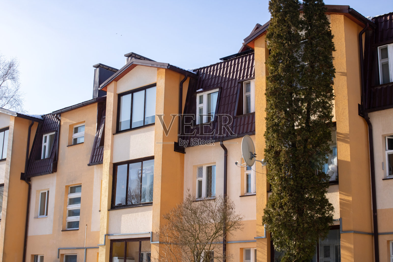 高层住宅楼的窗户和附近的树照片摄影图片