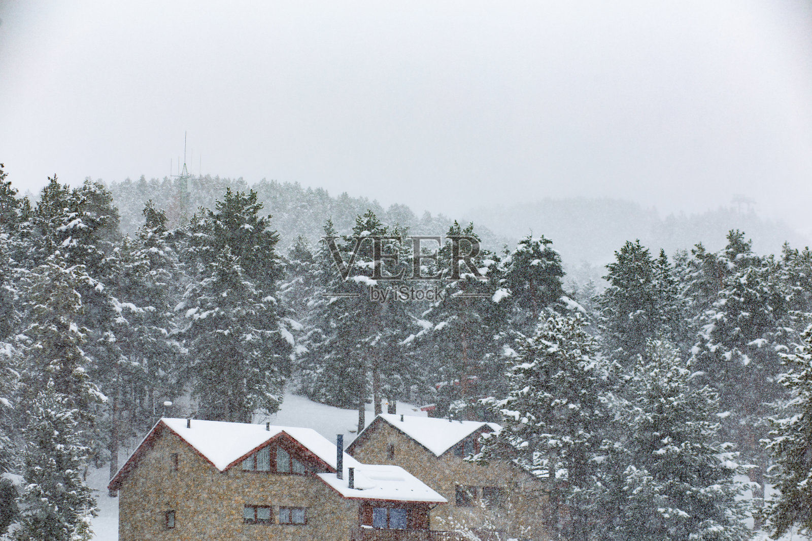 暴风雪落在森林景观树木在山顶景观与一些孤立的房子照片摄影图片