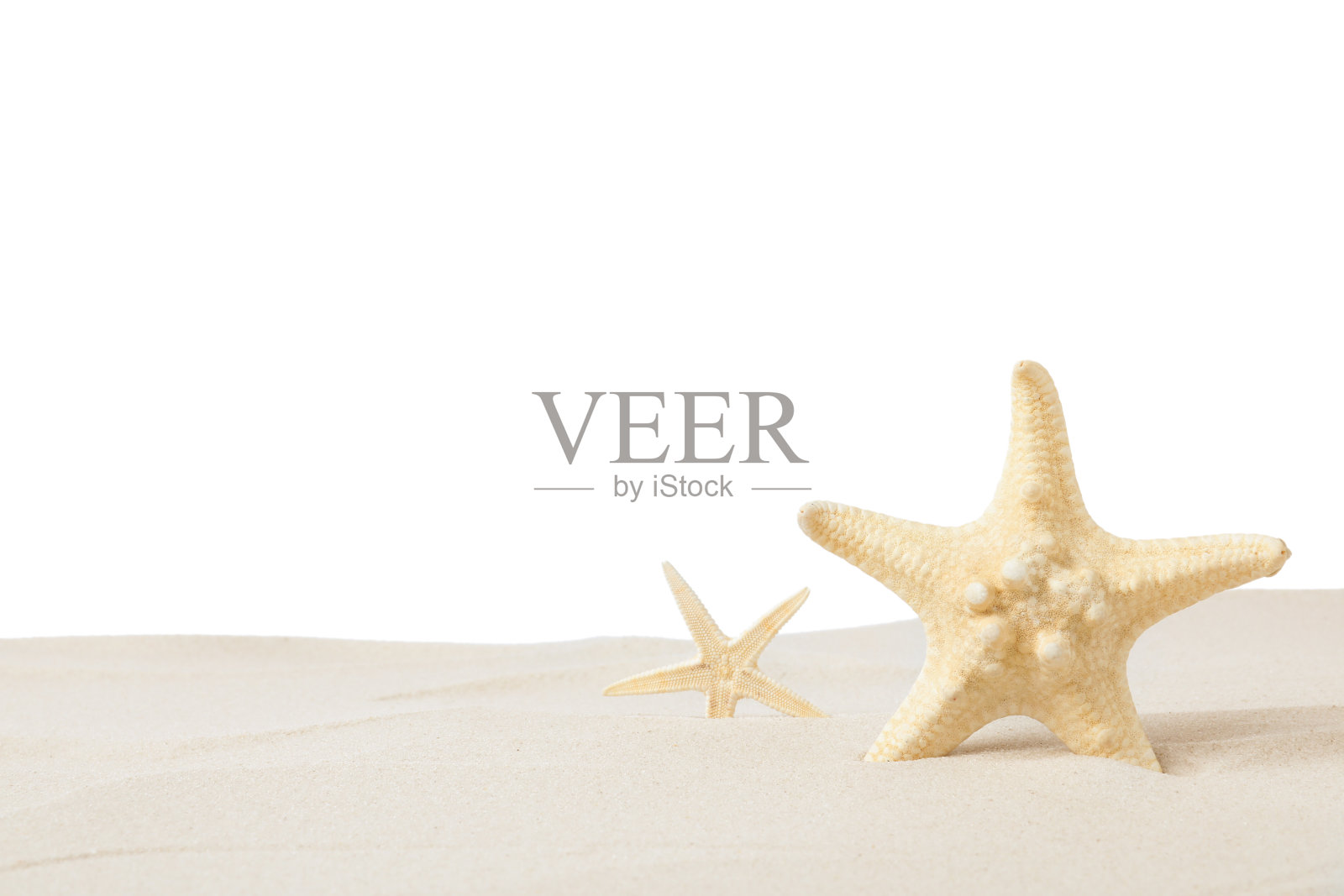 美丽的海星在沙滩上白色的背景照片摄影图片