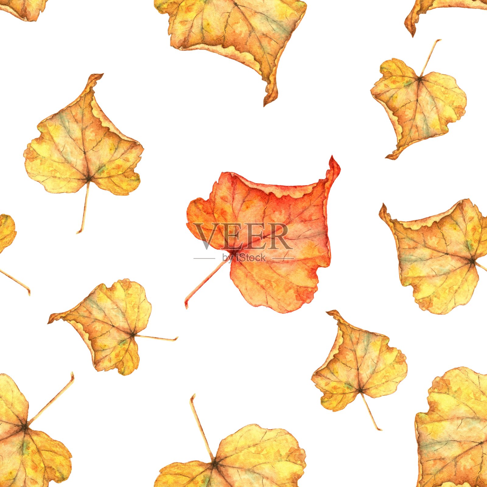 秋天的树叶。无缝的水彩模式。手工绘画插画图片素材
