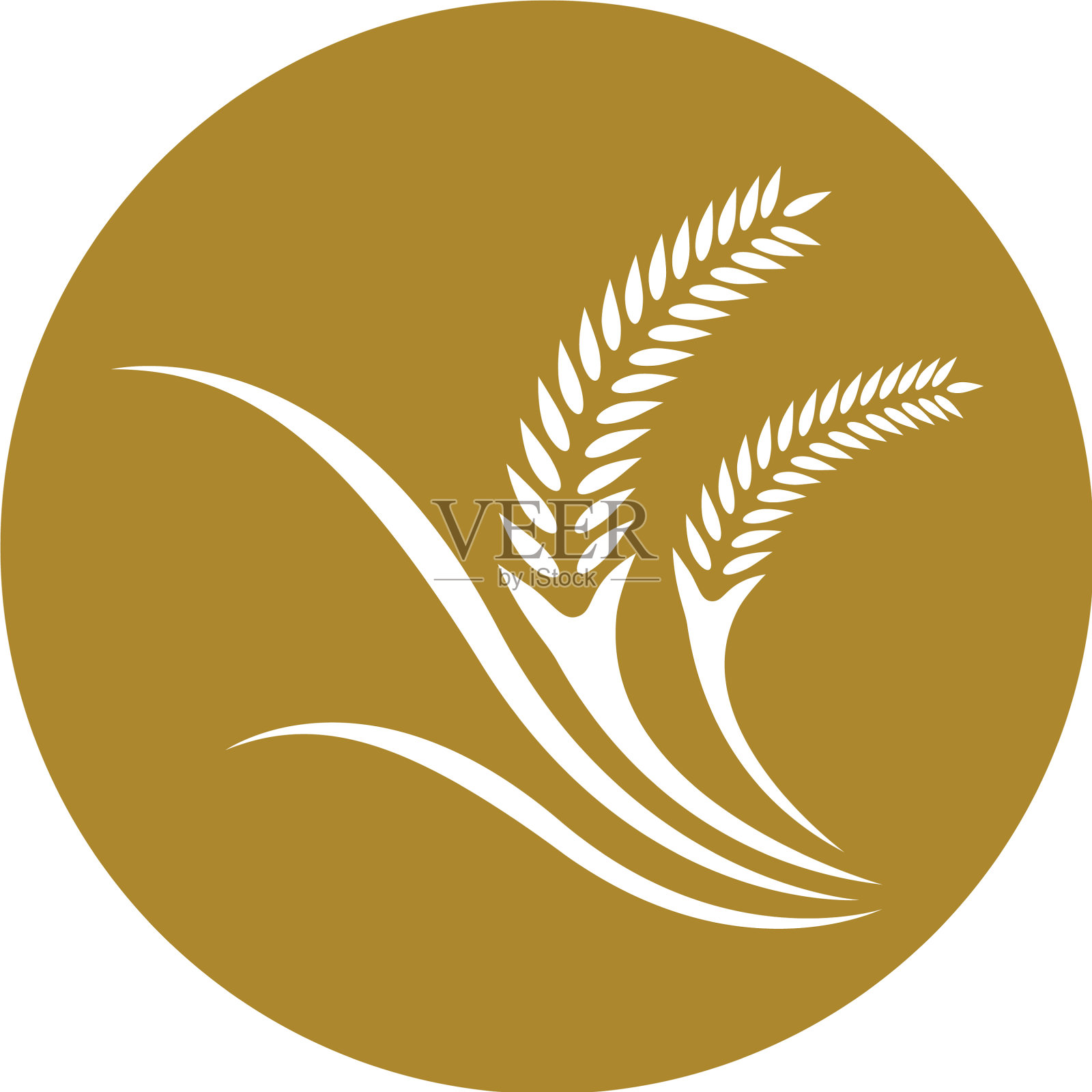 小麦图标设计图标素材