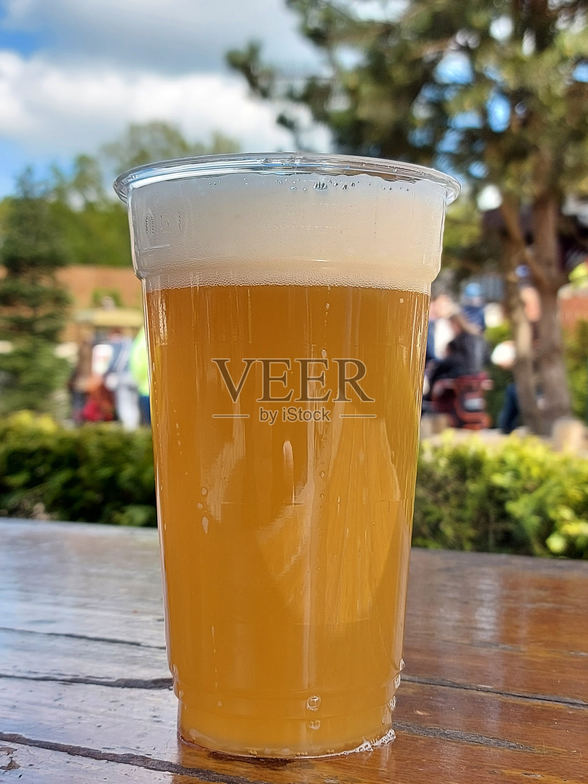 阳光下新鲜的生啤酒照片摄影图片