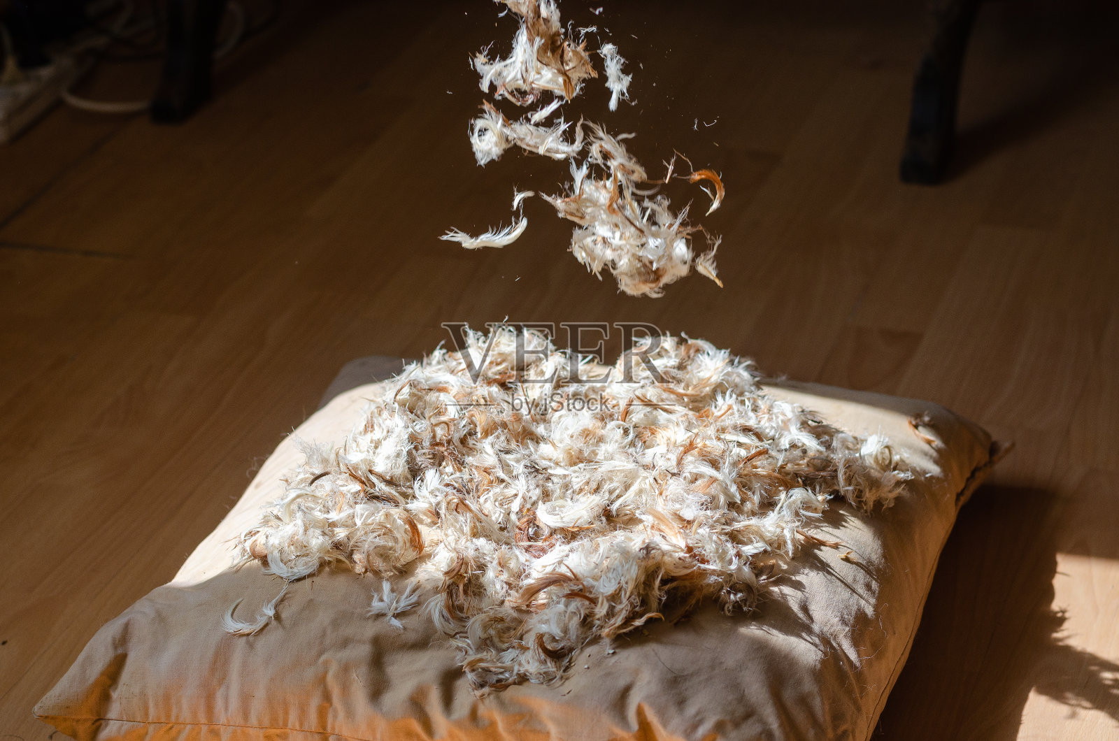 客厅的地板上放着一个破旧的羽毛枕头。透过窗户的阳光照亮了从上往下飘落的棕色和白色的羽毛。照片摄影图片