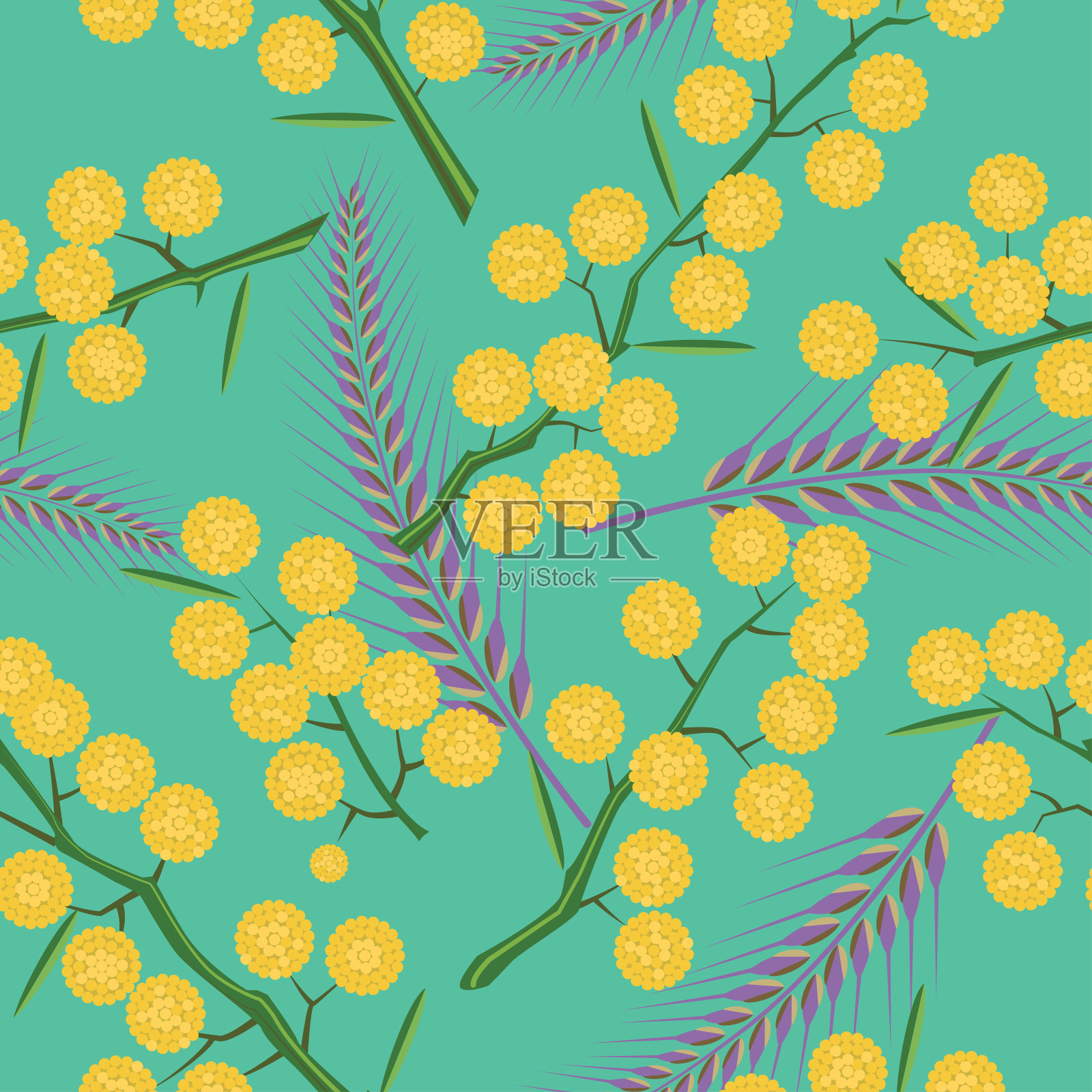 银合欢树(Acacia dealbata)和黑麦的无缝图案插画图片素材