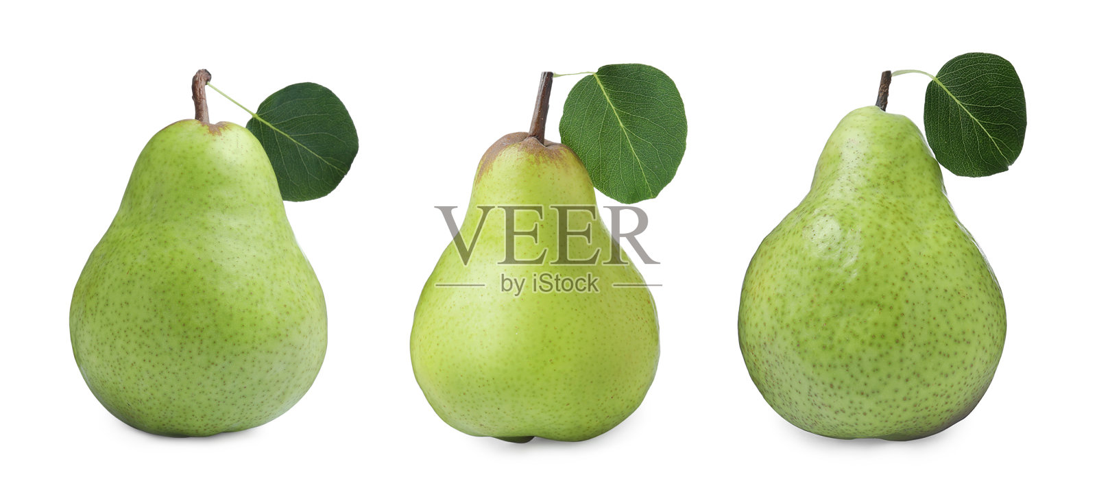 在白色的背景上镶嵌着美味成熟的梨子。旗帜设计照片摄影图片