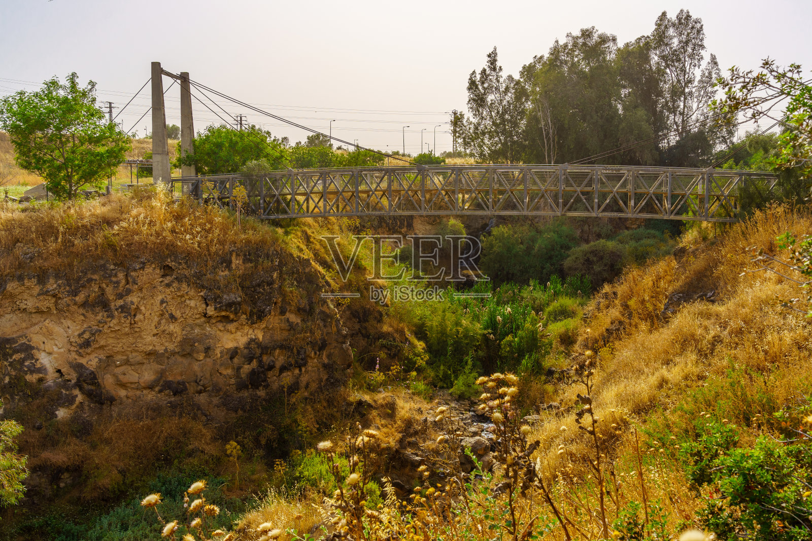 玄武岩峡谷和哈罗德河，还有桉树照片摄影图片