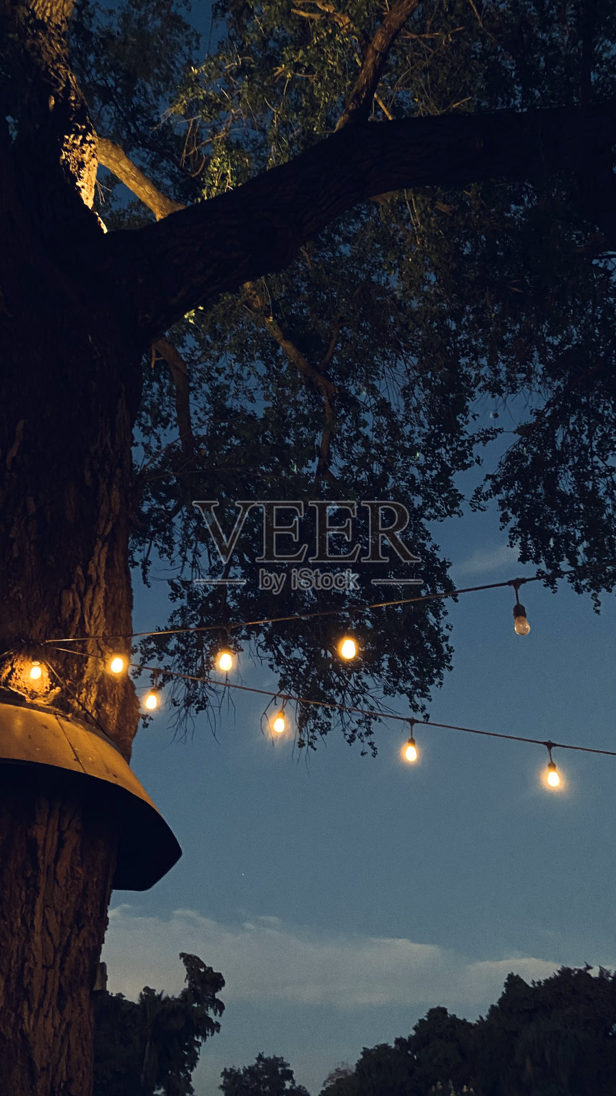 夜晚的灯光照片摄影图片