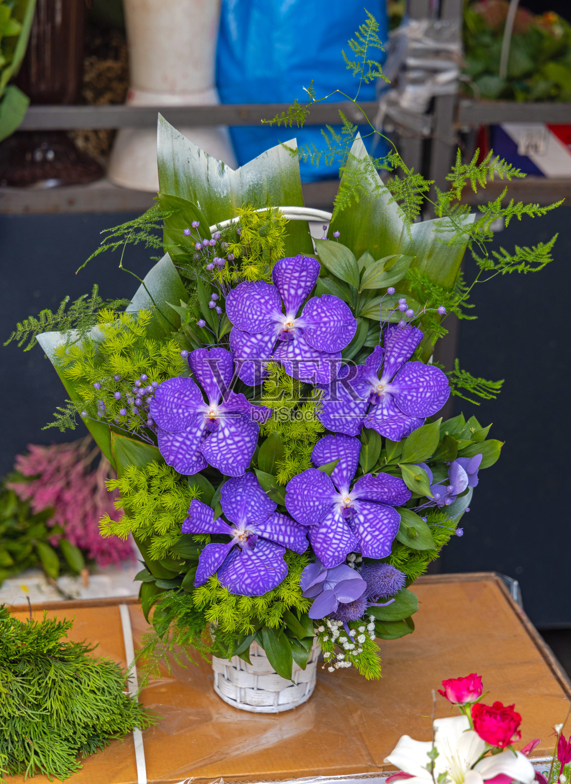 紫罗兰花的安排照片摄影图片