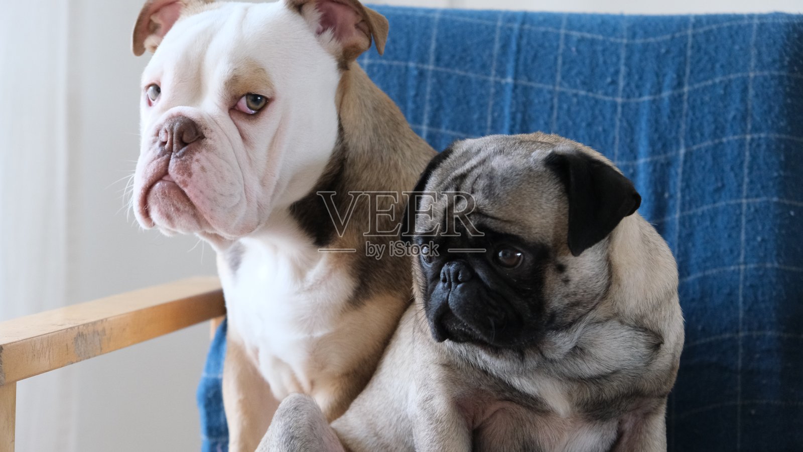 质量的时间照片摄影图片