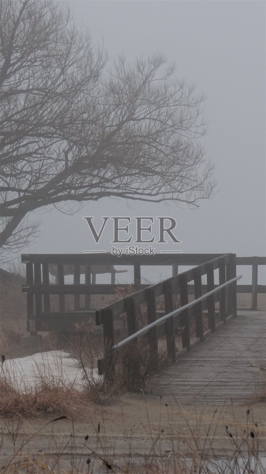 家乡湖畔/公园照片摄影图片