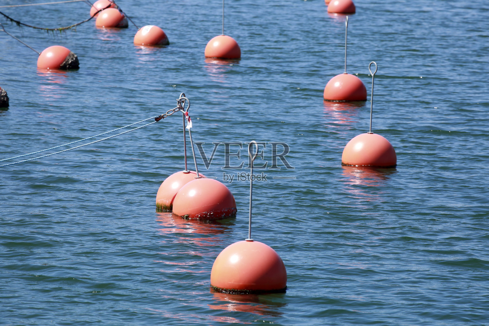 在德国的阿尔特斯特罗姆、Warnemunde、Rostock、Mecklenburg-Vorpommern等照片摄影图片