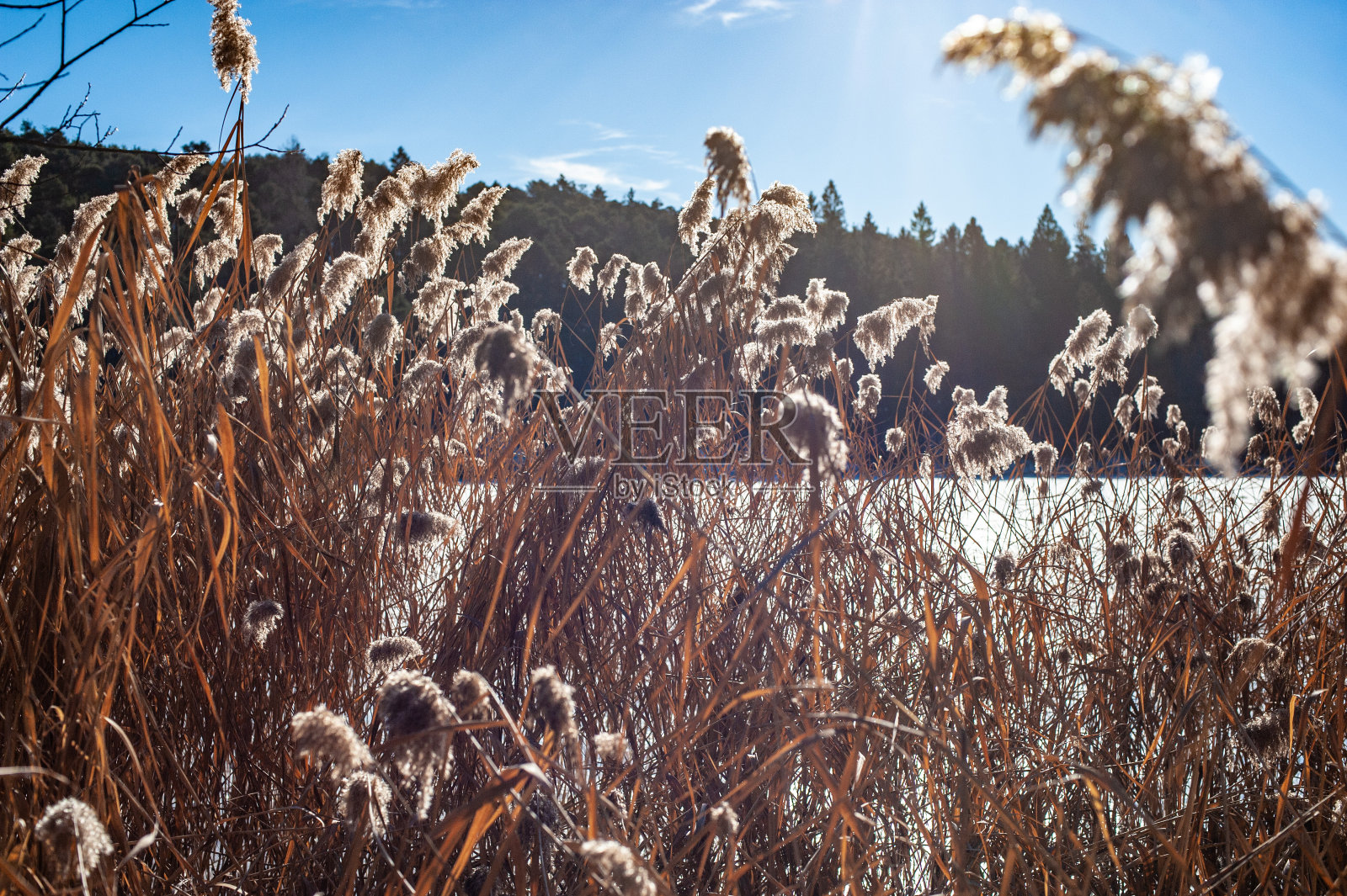 特伦蒂诺的冬天照片摄影图片